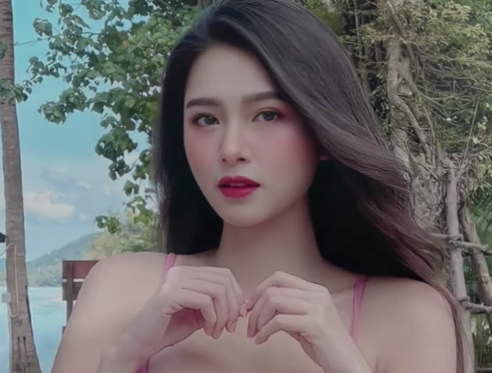 lĩnh vực hoạt động